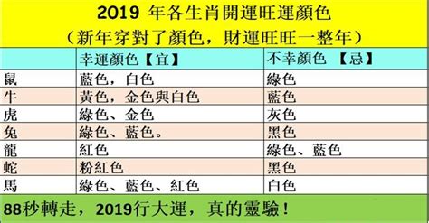 生肖適合的顏色|從「生肖」看什麼顏色會幫你帶來好運，生肖鼠適合黑。